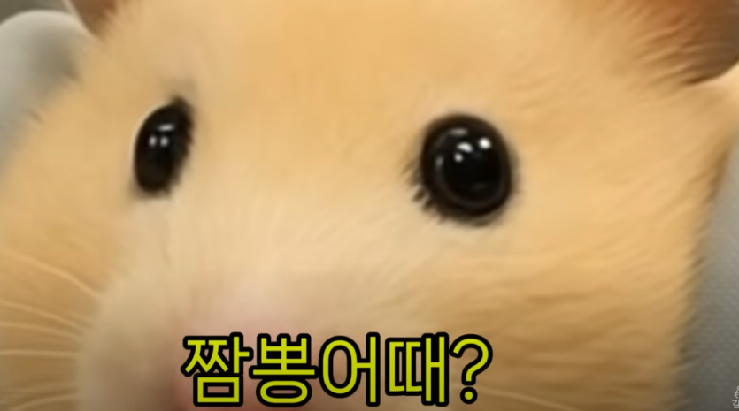 a81f31a0237b97bb4aa93a52be86ebfa_1757511727_6763.png